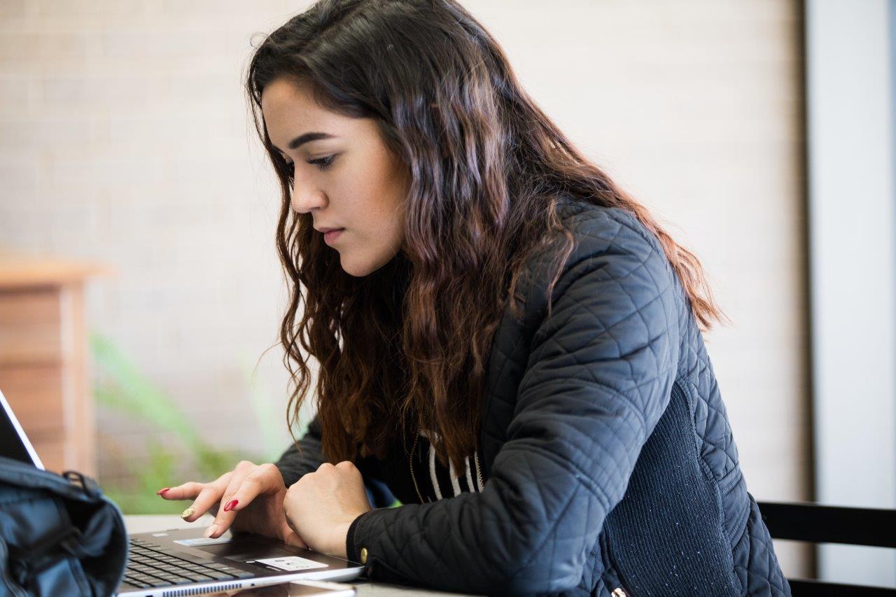 Student studies in the campus library